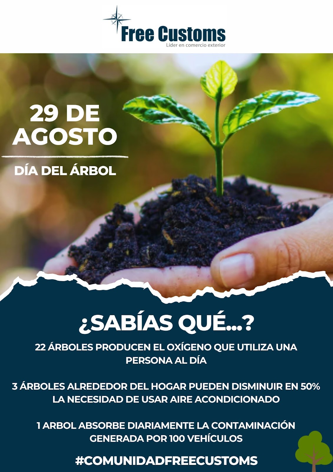 29 de Agosto - Día del Árbol Nativo