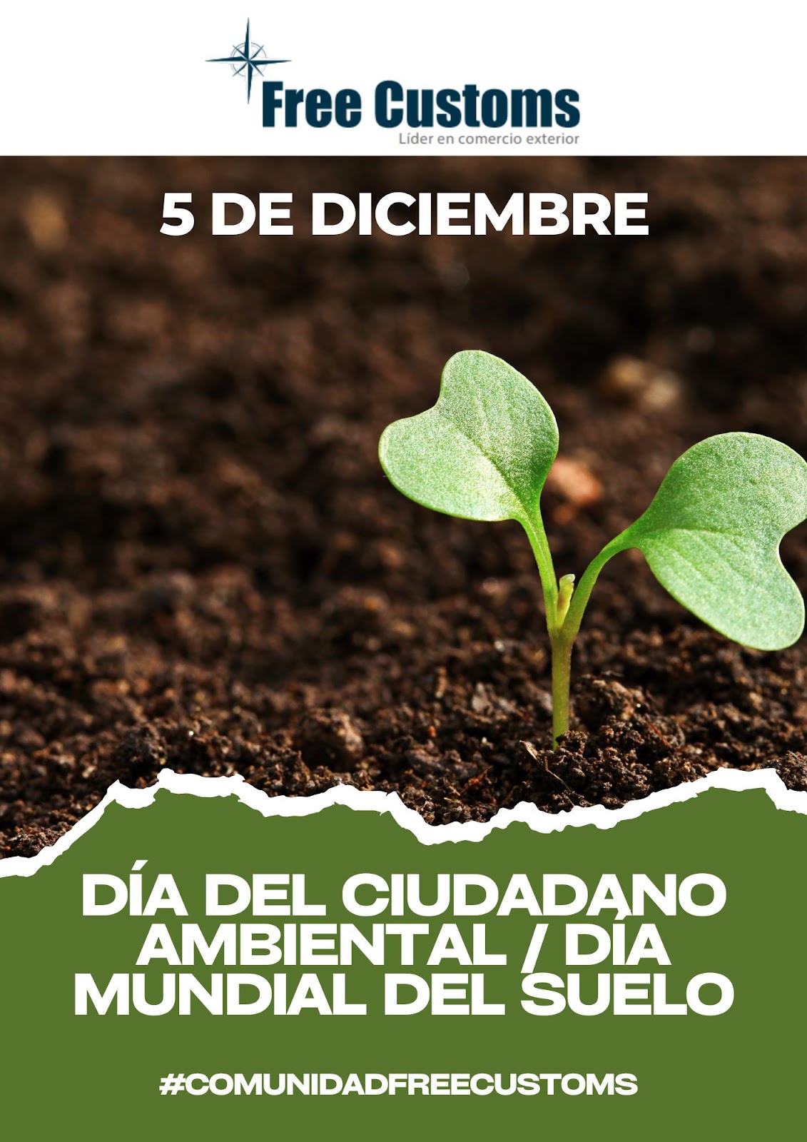 5 de Diciembre - Día del Voluntariado