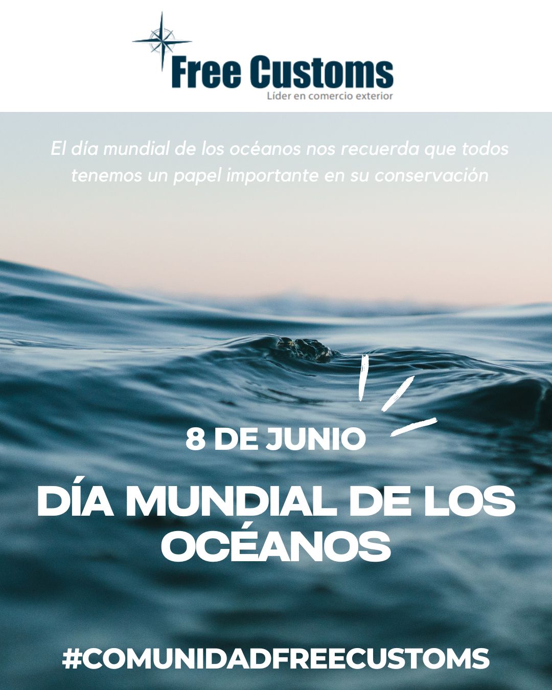 8 de Junio - Día Mundial de los Océanos